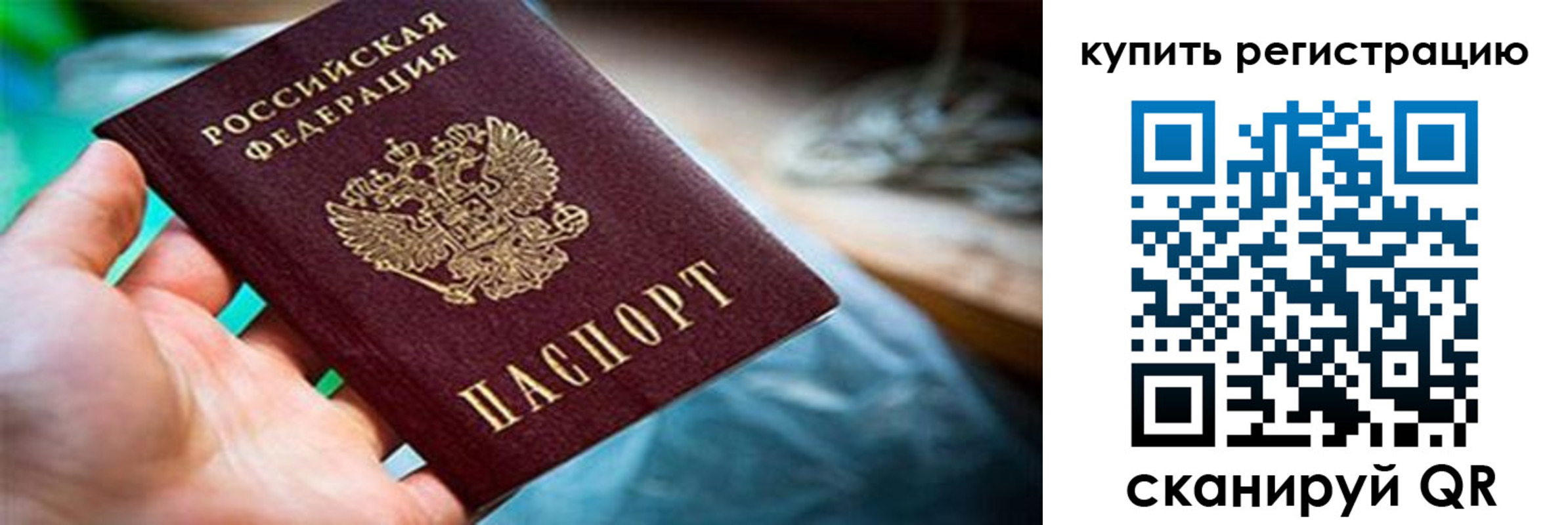 прописка гарантия в Бородино